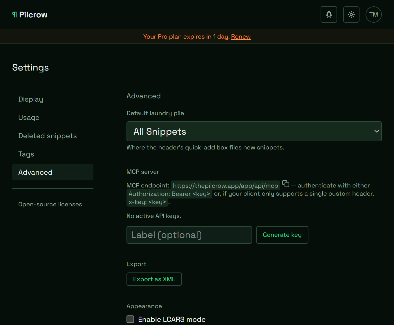 Pilcrow Settings Advanced page showing the MCP server section, with the endpoint URL, authentication header options, a label field, and a Generate key button